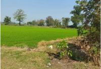 ที่ดินเปล่าหลุดจำนอง ธ.ธนาคารกรุงไทย สุโขทัย สวรรคโลก นาทุ่ง